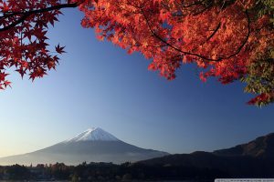 ทัวร์ญี่ปุ่น เที่ยวญี่ปุ่น โปรโมชั่น ญี่ปุ่นราคาถูก โตเกียว โอซาก้า ฮอกไกโด เกียวโต นารา ฟุกุโอกะ ซากุระ ใบไม้เปลียนสี สกี หิมะ สวนสนุก