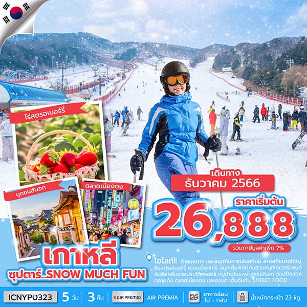 ทัวร์เกาหลี เล่นสกี ชิมสตรอเบอร์รี่ สวนสนุกเอเวอร์แลนด์ 5 วัน 3 คืน